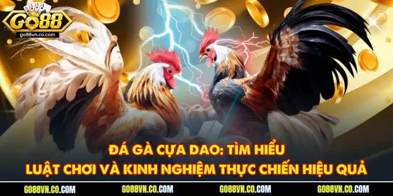 đá gà cựa dao