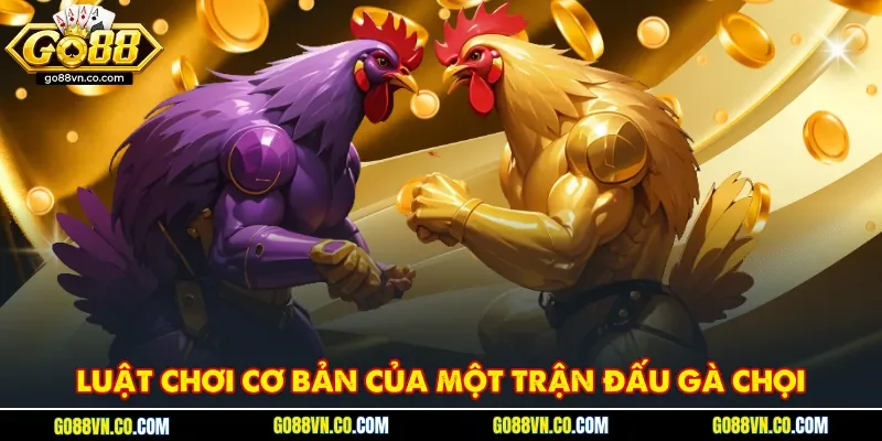 Luật chơi cơ bản của một trận đấu gà chọi