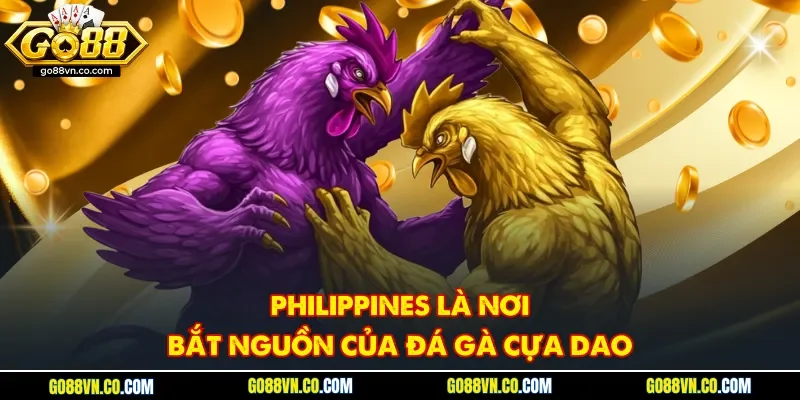 Philippines là nơi bắt nguồn của đá gà cựa dao