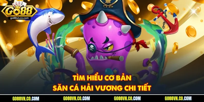 Tìm hiểu cơ bản săn cá hải vương chi tiết