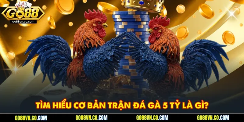 Tìm hiểu cơ bản trận đá gà 5 tỷ là gì?