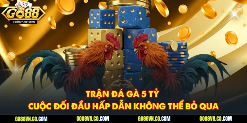 Trận đá gà 5 tỷ